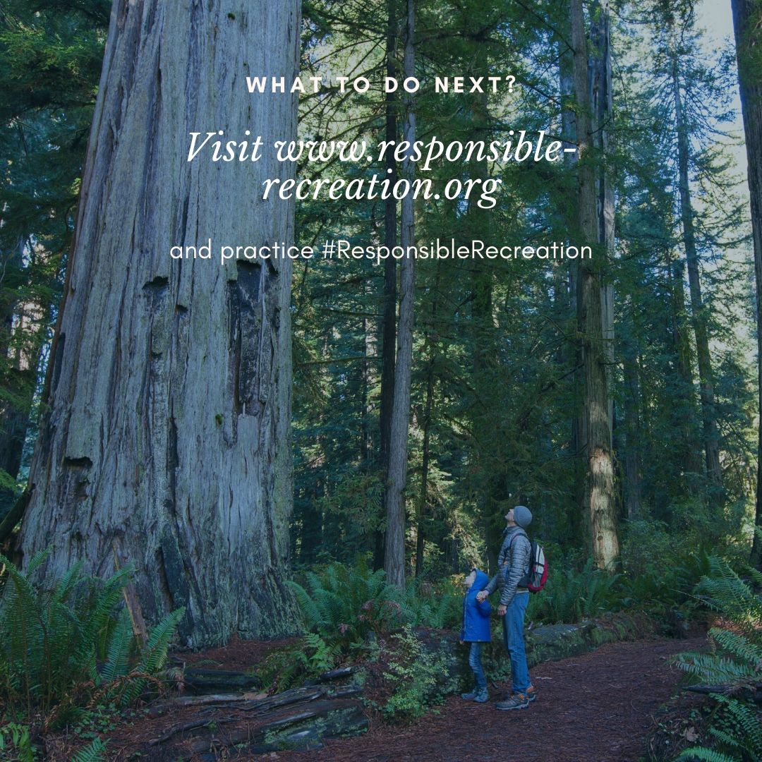 People walking in the woods practicing responsible recreation