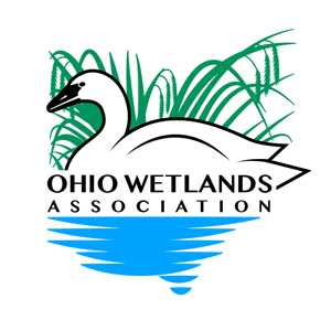 Ohio Wetlands